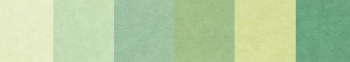 Turul 1900 – 5 color scale
